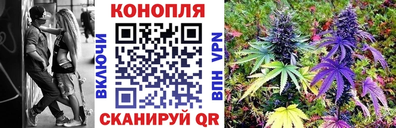 Каннабис конопля Кудрово